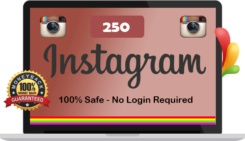 buy 250 instagram followers