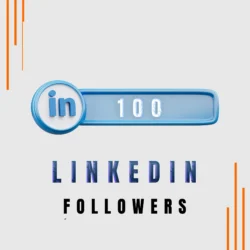 100 LinkedIn Followers